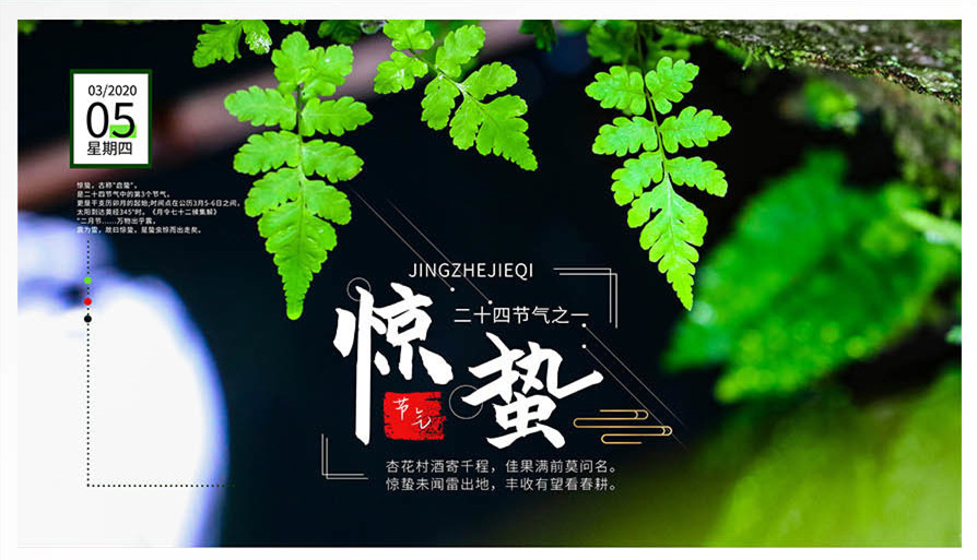 今日驚蟄｜春雷驚蟄，萬(wàn)物復(fù)蘇！