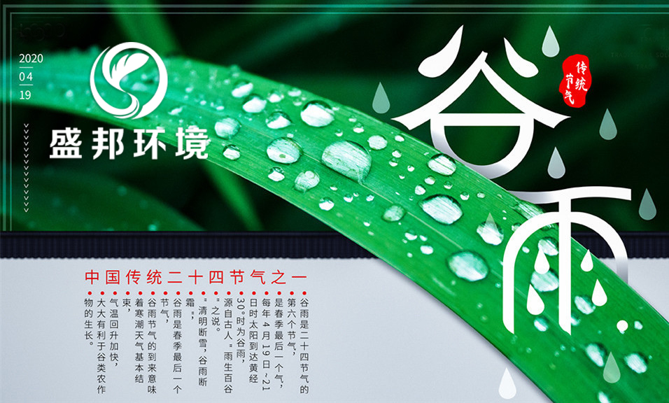 楊花柳絮隨風(fēng)舞，雨生百谷夏將至！