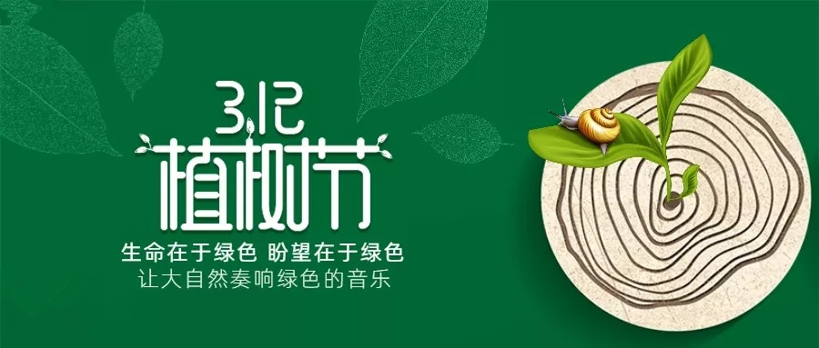 植樹節(jié)丨種下希望，孕育未來！